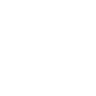 delani_logo
